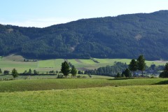 Gästehaus Bacher - 7