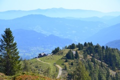 Gästehaus Bacher - 8