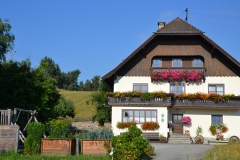 Gästehaus Bacher - 16