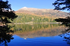 Gästehaus Bacher - prebersee